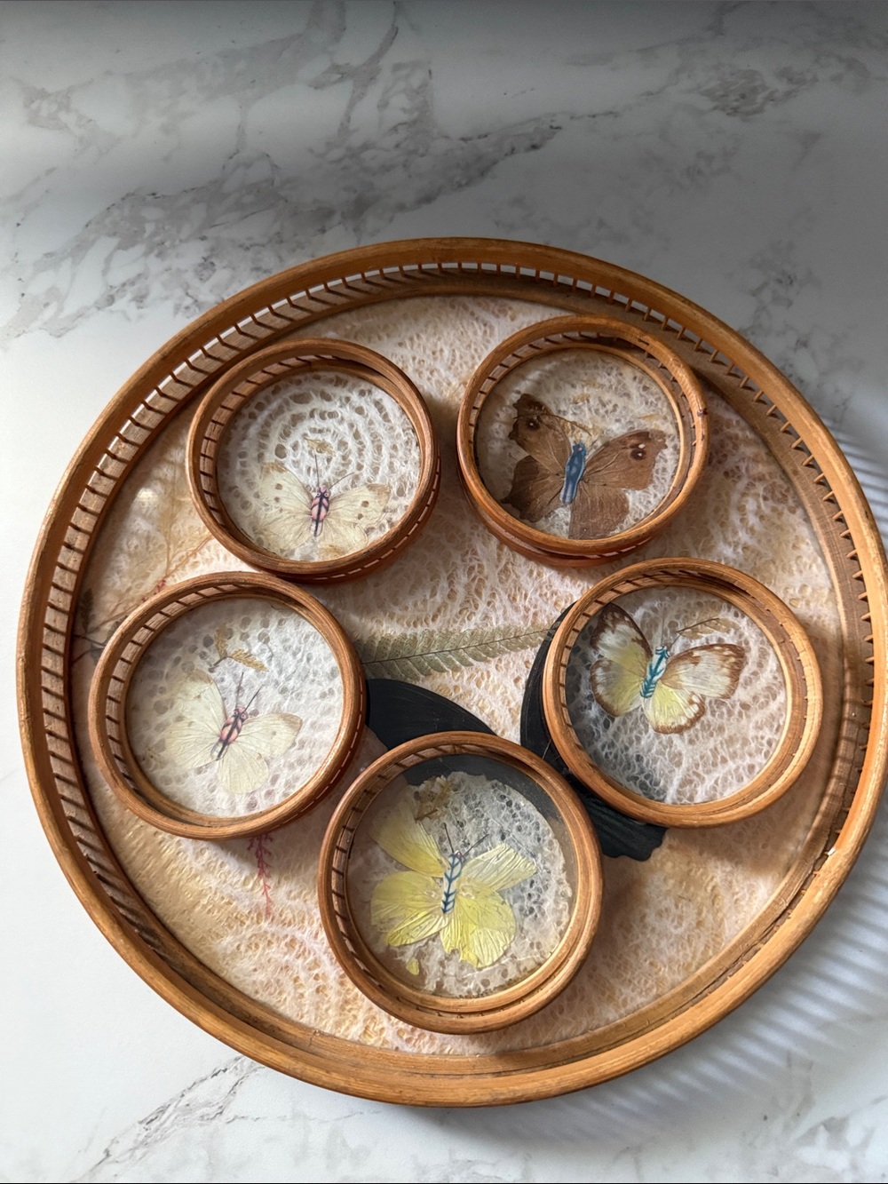 Vintage 1970s bamboo and pressed butterfly serving tray and coaster set of 6